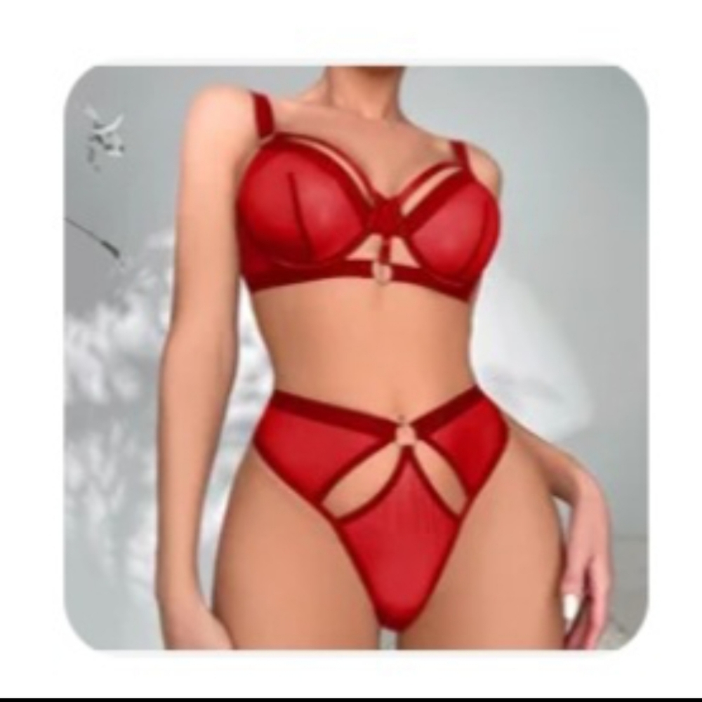Mesh lingerie set with cut outs